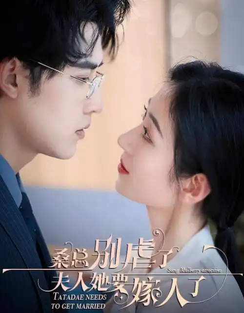 长街灯火 电视剧全集免费看